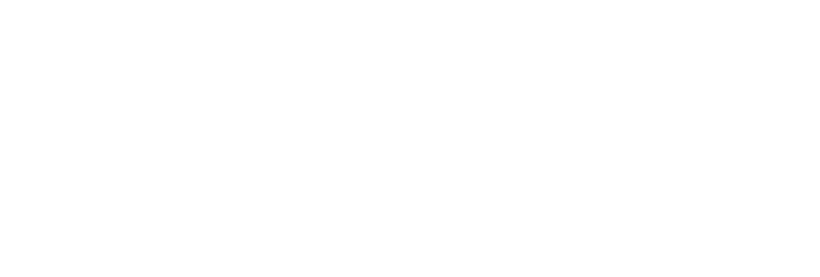 zvbl-logo-white